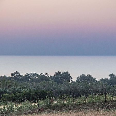Villa Manoutsio Episkopi-Chania Екстериор снимка